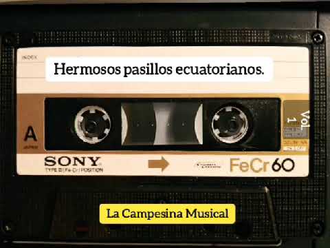 HERMOSOS PASILLOS ECUATORIANOS-1