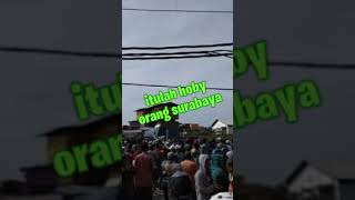 Download lagu Merpati kentong ZORRO 12 pas sang penari langit mp3