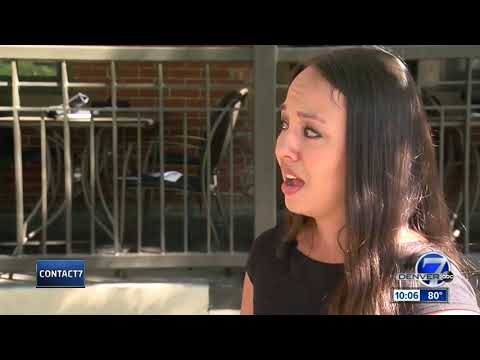 Dog killed while in care of sitter hired through Rover app