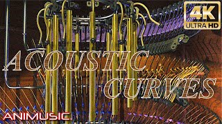 Cover art for Acoustic Curves