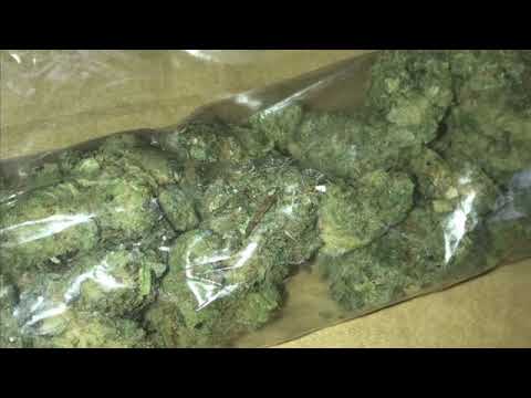 HydroAm X Jbucks X Tai The Rapper ~ I Got The Bag