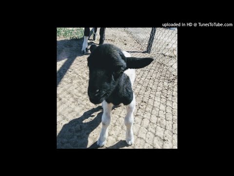 *Free* Fmb Longmoney x Yung Ro Type Beat "yercs" Produced by @_rafaelaguilera