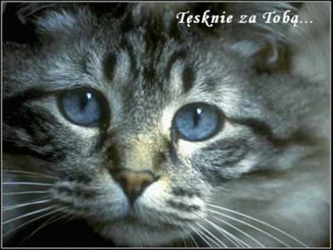 .tak bardzo cię kocham. ;* ;(