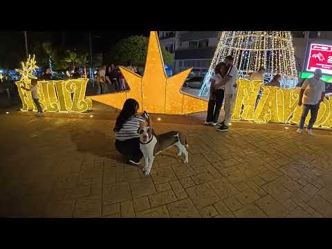 NOCHE DE ALUMBRADOS CARTAGO (VALLE DEL CAUCA) 7 DICIEMBRE 2025