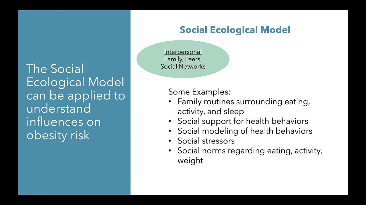 Applying the Social Ecological Model to Understand Obesity Risk Factors