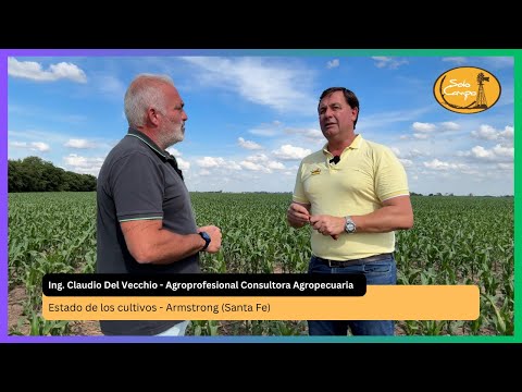Ing. Claudio Del Vecchio - Agroprofesional Consultora Agropecuaria