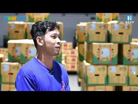 中国語学科 一颗榴莲的旅程：第二集《进厂》