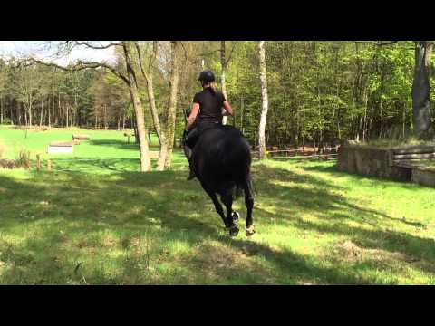 EMMA EVENTING PRESENTS: ANNE UND PAULA