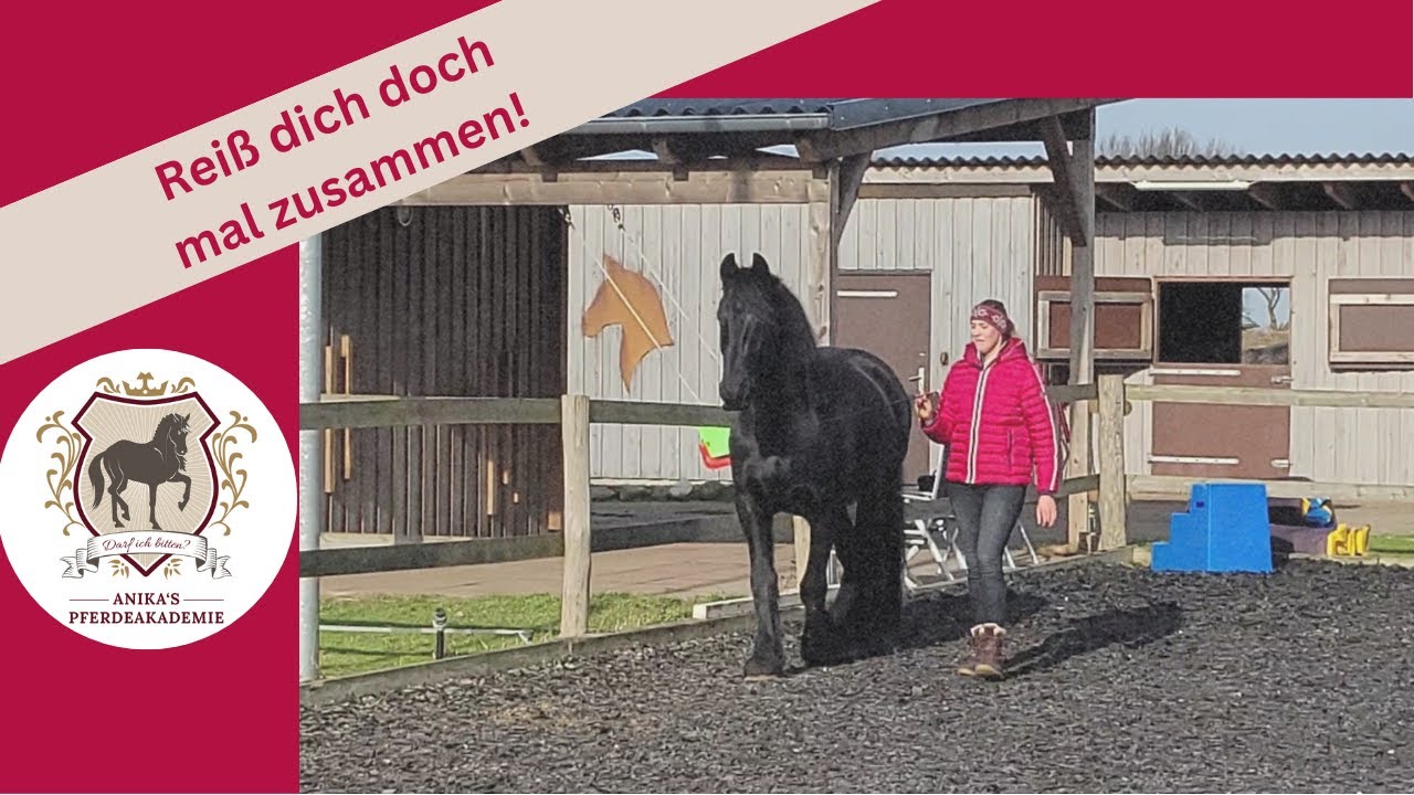 Schreckhaftes Pferd in der Freiheitsdressur
