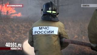 preview picture of video 'Пал травы в Советске'