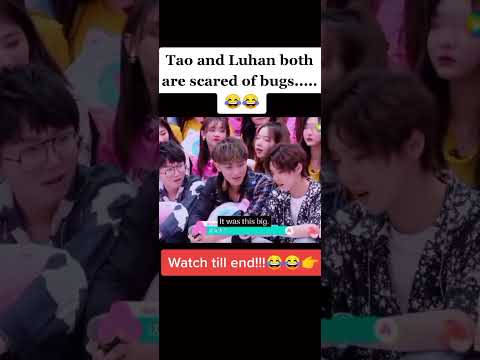 Tao & Luhan both are scared of bugs 😂😂😂