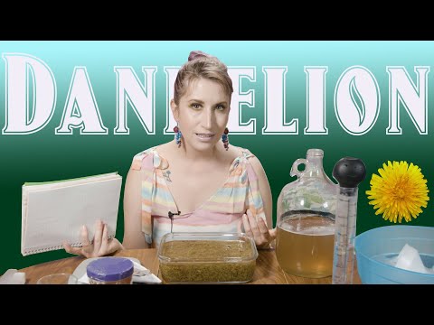 Dandelion/Spring Flower Mead