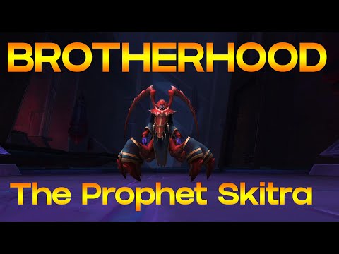 Brotherhood - The Prophet Skitra - Mythic