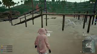 PUBG回線悪いけど頑張るぞ！