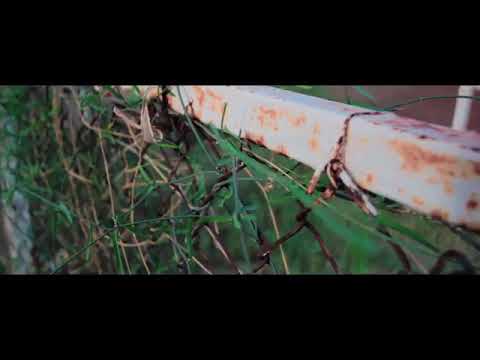 EL BARBA ROJA C,/las Palmas Vs. LA CLAVESITA C/RABICANO  En 300 mts