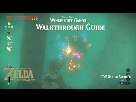 Breath of the Wild | EX Champion Revali's Song [DLC 2] Illusory Realm [Windblight Ganon]