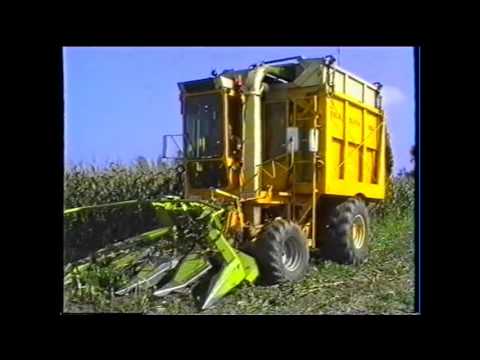 Loonw. Maertens - Ruddervoorde - Hesston Field Queen 7655