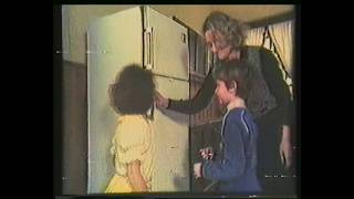 Arçelik Lüks Buzdolabı Reklamı (1984)