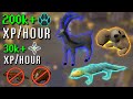 NEW Hunter Rumour Guide Blocklists Equipment 20 Rumours And 200k Xp H