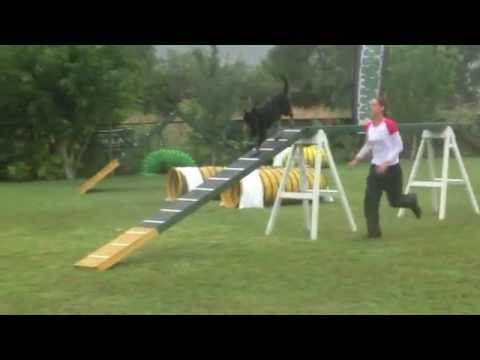 Agility Addicts in the 1st agility race in Greece