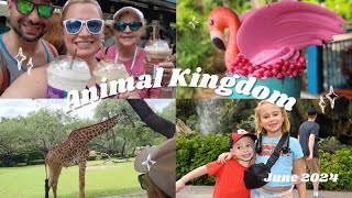 A WILD & RAINY ANIMAL KINGDOM DAY I WDW Vlog, Day 4, June 2024