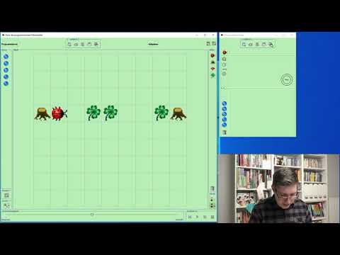 (Informatik) Anleitung für Kara den Marienkäfer