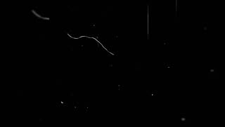 Download lagu Old Film Grain | Video overlay (Download) mp3