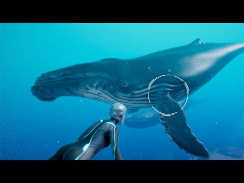 Beyond Blue gameplay walkthrough Part 1