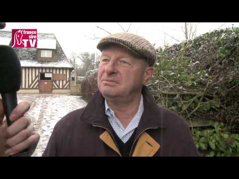 Haras du Petit Tellier (Linngari) - RDE 2015