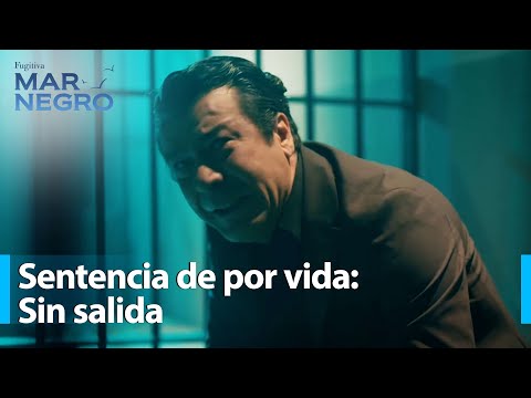 The end of the Genco era... - Black Sea Chapter 205 | Fugitive