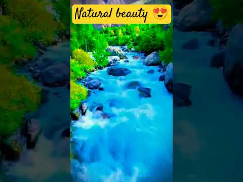 Natural view#beauty #beautifyl view#friendsquotes #shortvideo #viral