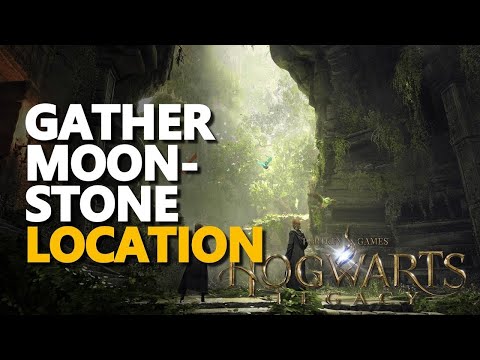 Hogwarts Legacy: Moonstone Garden Guide