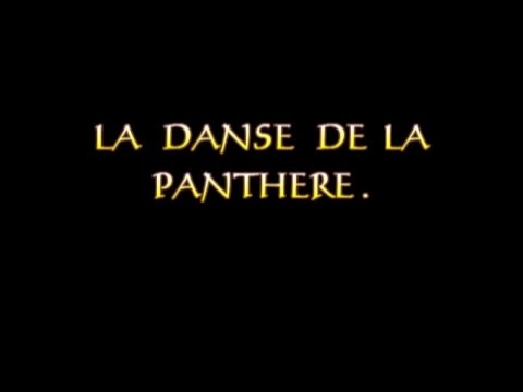 LA DANSE DE LA PANTHERE - Documentaire (Côte d'Ivoire)
