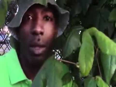 ONE FOR DA MONEY FISHSCALE