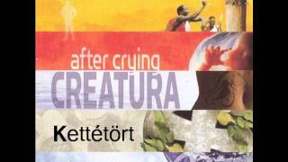 After Crying: Kettétört