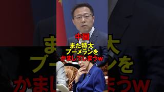 中国、また特大ブーメランをかましてしまうｗ #政治 #自民党 #台湾有事 #高市 #ゆっくり解説