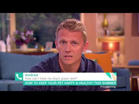 How Do I Treat My Dog's Grass Rash? | This Morning
