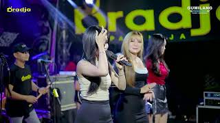 Download lagu D'RADJA PASTI AJA - JOGET DRADJA - ALL ARTIST - PARTY PEMUDA JATI GILI - JRAHI GUNUNGWUNGKAL mp3