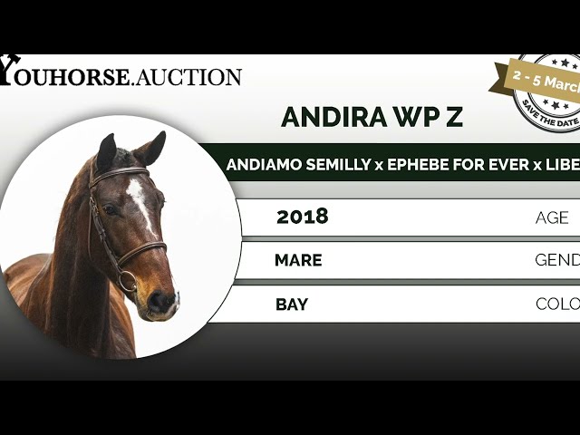 Andira showvideo