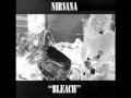 Nirvana - Bleach - 06 - Paper cuts 