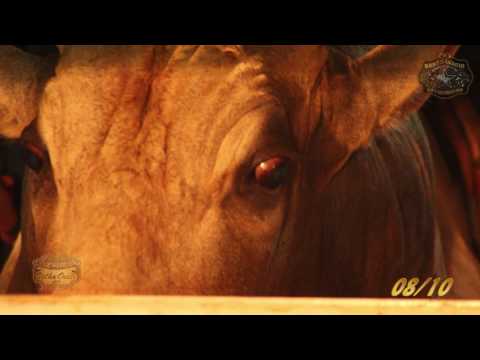 Lançamento 17º Santo Inácio Rodeio Show 2016