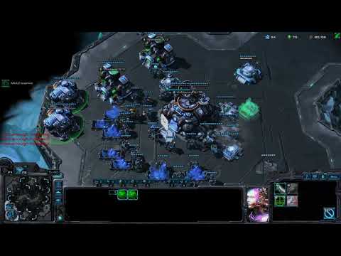 TvT RFE Raven into Fast Rax (Solid Opener)