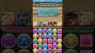 챌린지 34) Lv10 환생 사쿠야 Pt