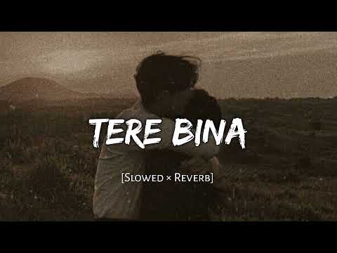 Tere Bina - (Slowed + Reverb) - A.R. Rahman || Guru