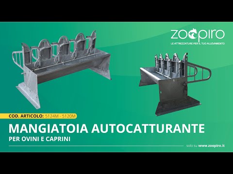 Come ci sono vermi in analisi A che chilocaloria con sogno di vermi