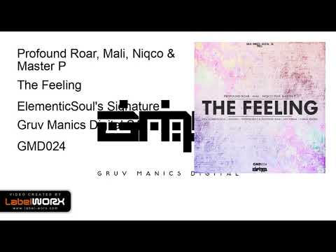 Profound Roar, Mali, Niqco & Master P - The Feeling (ElementicSoul's Signature)