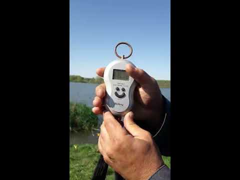 Pescuit Balta Colonesti - Crap 6 KG - 21 Aprilie 2018