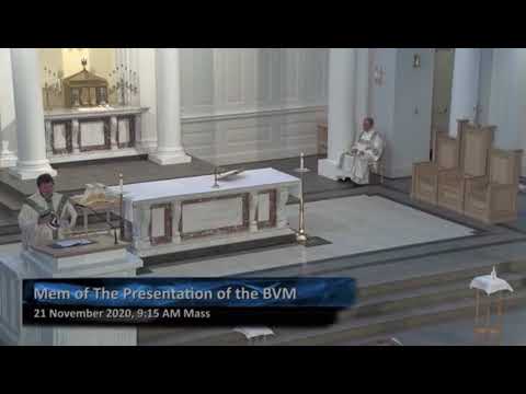 “The Presentation of Mary in the Temple” Homily