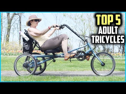 Top 5 Best Adult Tricycles In 2025