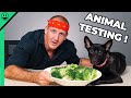 Food Challenge With My Dog My Wife Is Gonna Kill Me